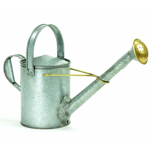 Achla Designs Galvanized Long Neck Watering Can by Minuteman/Achla Designs