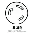 thumbnail image 5 of Champion Power Equipment 25-Foot 30-Amp 125-Volt Fan-Style Generator Extension Cord (L5-30P to Three 5-15R), 5 of 5