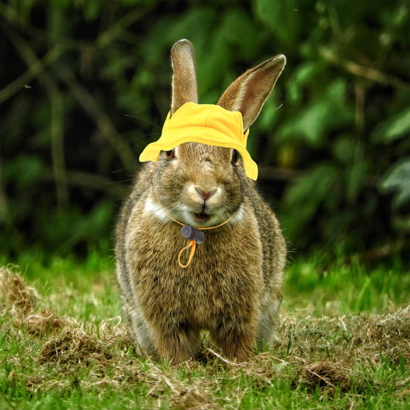 LOLIPPYY Pet Rabbit Hat Soft Yellow Felt Multipurpose Costume Accessory for Decor