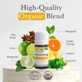 thumbnail image 4 of Pranarom - Uplift Essential Oil Blend (5ml) - Mandarin, Sweet Orange, Ylang Ylang, Patchouli, Blue Tansy - 100% Pure Essential Oil for Energy and Positivity | USDA and ECOCERT Certified Organic, 4 of 4