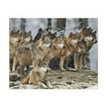 thumbnail image 2 of Wolf Pack Ready To Hang Stretched Canvas Wall Art, 2 of 18