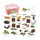 thumbnail image 1 of Ciclo de vida animal Juguete Montessori Juguetes Material didáctico de ciencias Ciclo de crecimiento animal Caja rosa, 1 of 9