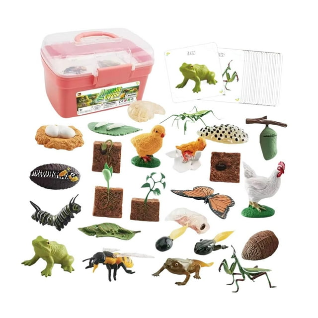Ciclo de vida animal, juguete, ciclo de crecimiento animal, figuras, adornos para tartas, material didáctico Caja rosa