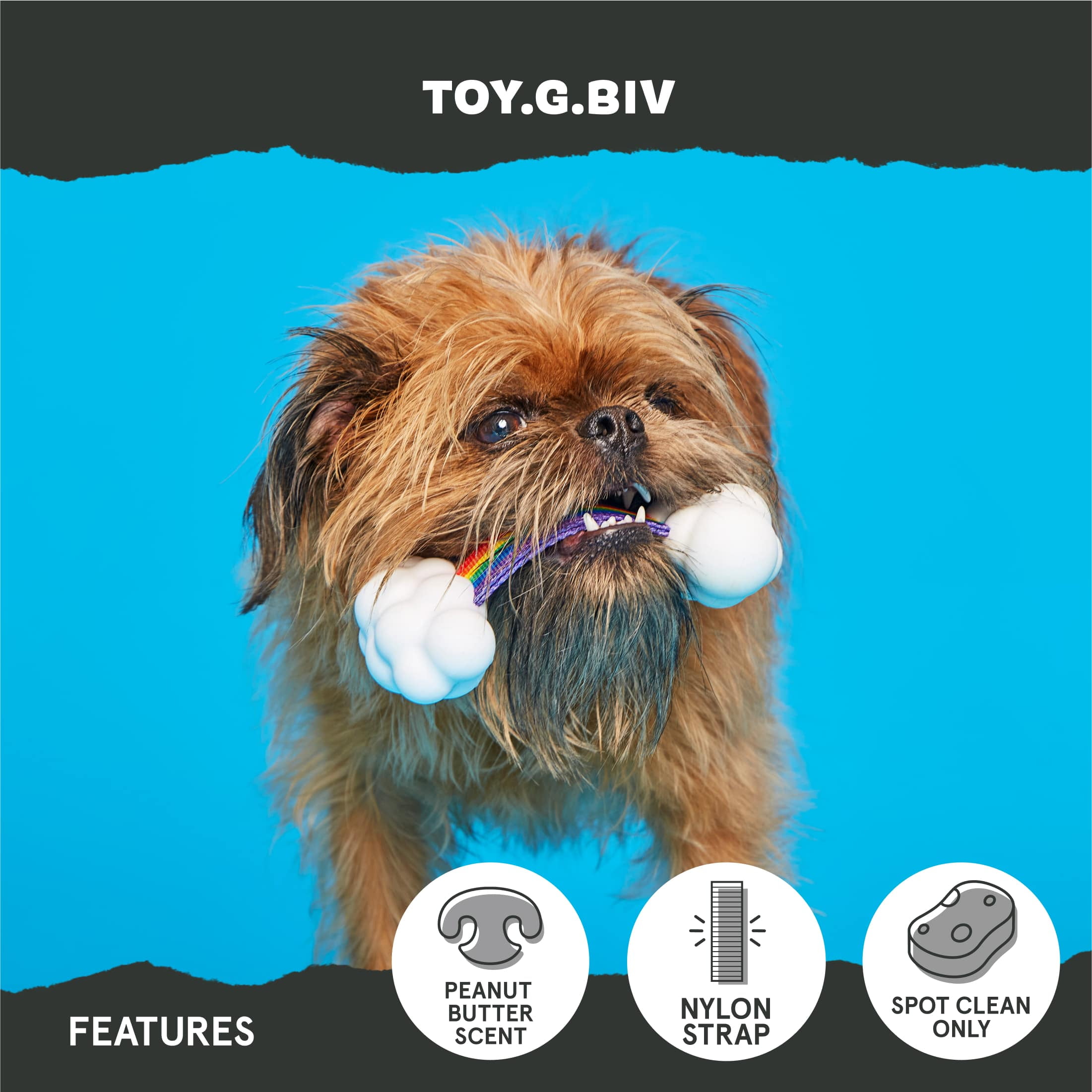 BARK Super Chewer Rainbow Tug Durable Small Dog Toy