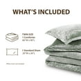 thumbnail image 6 of Regency Heights Twin/Twin XL Cozy Velvet Comforter Sets, Luxury 2-Piece All Season Down Alternative Dorm Bedding Set, Green Comforter Bed Set with Pillow Shams, 6 of 7