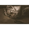 thumbnail image 6 of 324 - Iron Basket with handles, 6 of 7