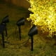 thumbnail image 4 of Xihbxyly Luces Solares para Jardín Exterior, Diseño de Proyector Led, Panel Solar Policristalino, Múltiples Opciones de Iluminación, Decoración para Césped y Jardín, Impermeables, Tamaño 5,5 X 5,5 X, 4 of 7