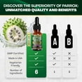 thumbnail image 5 of Parrox Soursop Seamoss Senna Liquid Drops with Moringa, Black Cumin Seed & Ashwagandha Root Extract, 6 in 1 Extra Strength Formula for Daily Wellness Support, Mixed Berry Flavor, 60 Servings, 5 of 9