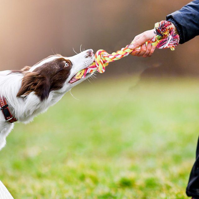 CBFFDC Dog Chew Toy Interactive Dogs Toy Bite resistant Rope Dog Training Toy Pet Supplies 1Pc/3Pcs/5Pcs