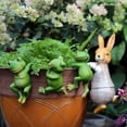 thumbnail image 3 of Decoración de bonsái para jardinería de jardín, dibujos animados creativos, animales pequeños, rana, maceta colgante, maceta trepadora, conejo de resina, 3 of 6