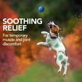 thumbnail image 2 of Vet’s Best Aches + Pains Dog Supplement for Hip and Joint Support - 50 Chewable Tablets, 2 of 7