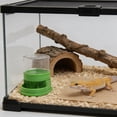 thumbnail image 2 of Automatic Water Dispenser for Reptiles, 50ml/1.7oz Small Lizard Gecko Water Feeder, No-Drip Leak-Proof, 2 of 4