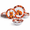 Autumn Fox, variant on Fall Fox Dinnerware Set 12plates And