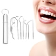 thumbnail image 1 of Juego de palillos de dientes Perfecl de acero inoxidable 304 7 piezas, 1 of 8