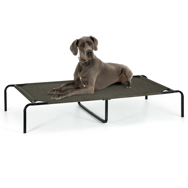 Lit pour Chien Surélevé en Tissu, Lit de Camp pour Animal Surélevé Portable, Respirant pour Chien