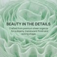 thumbnail image 4 of INSPIRE CHIC Lace Ruffled Shoelaces Ribbon Semi Sheer Pleated Trim Chiffon Elastic Shoe Strings for Sneakers 2 Pairs Light Green 3cm 120cm/47.2", 4 of 6