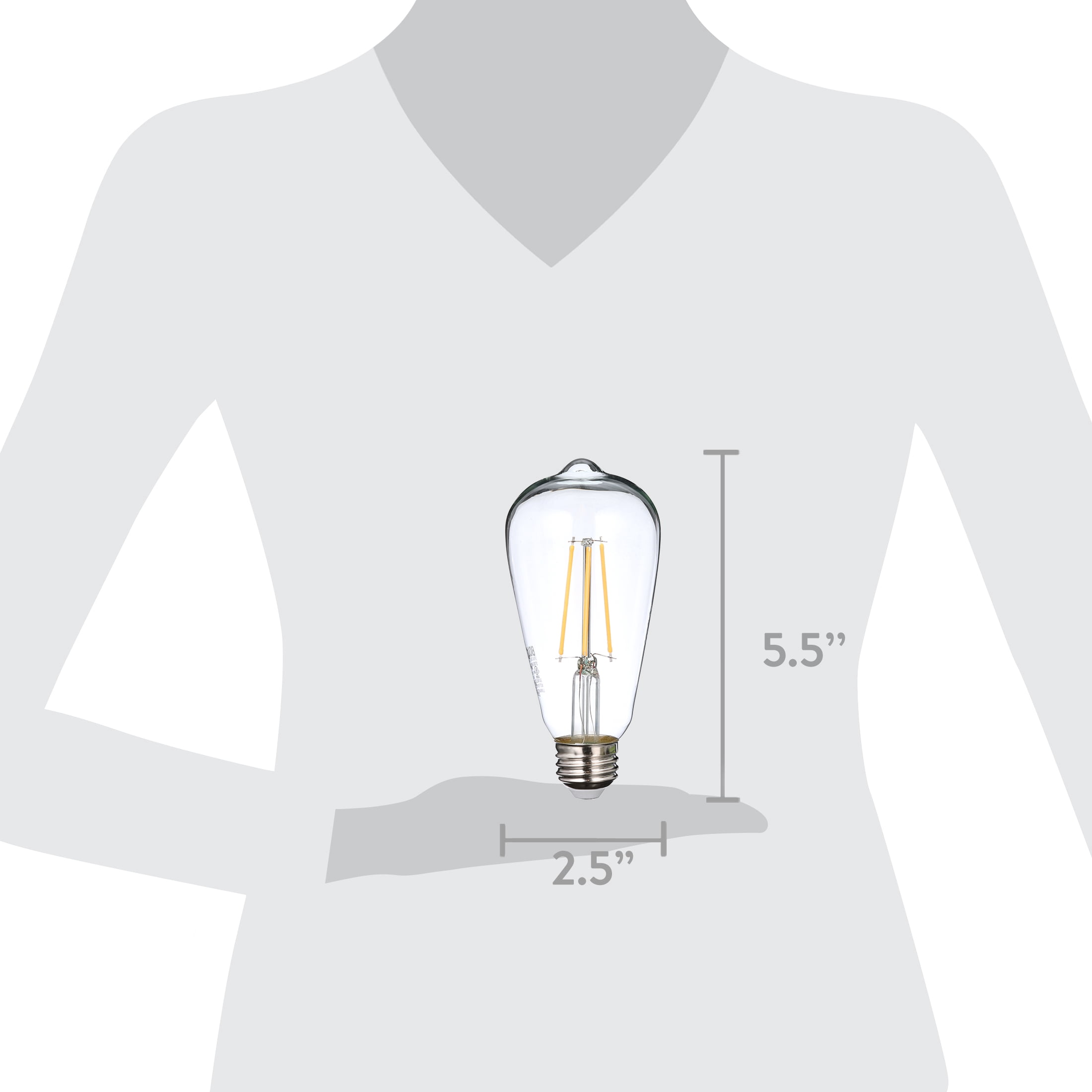 6 Pack Bioluz LED Pendent Light Bulbs, 60 Watt Replacement with Antique Vintage Design, Dimmable Filament ST64 Squirrel Cage E26 Base 2700K Warm White UL Listed