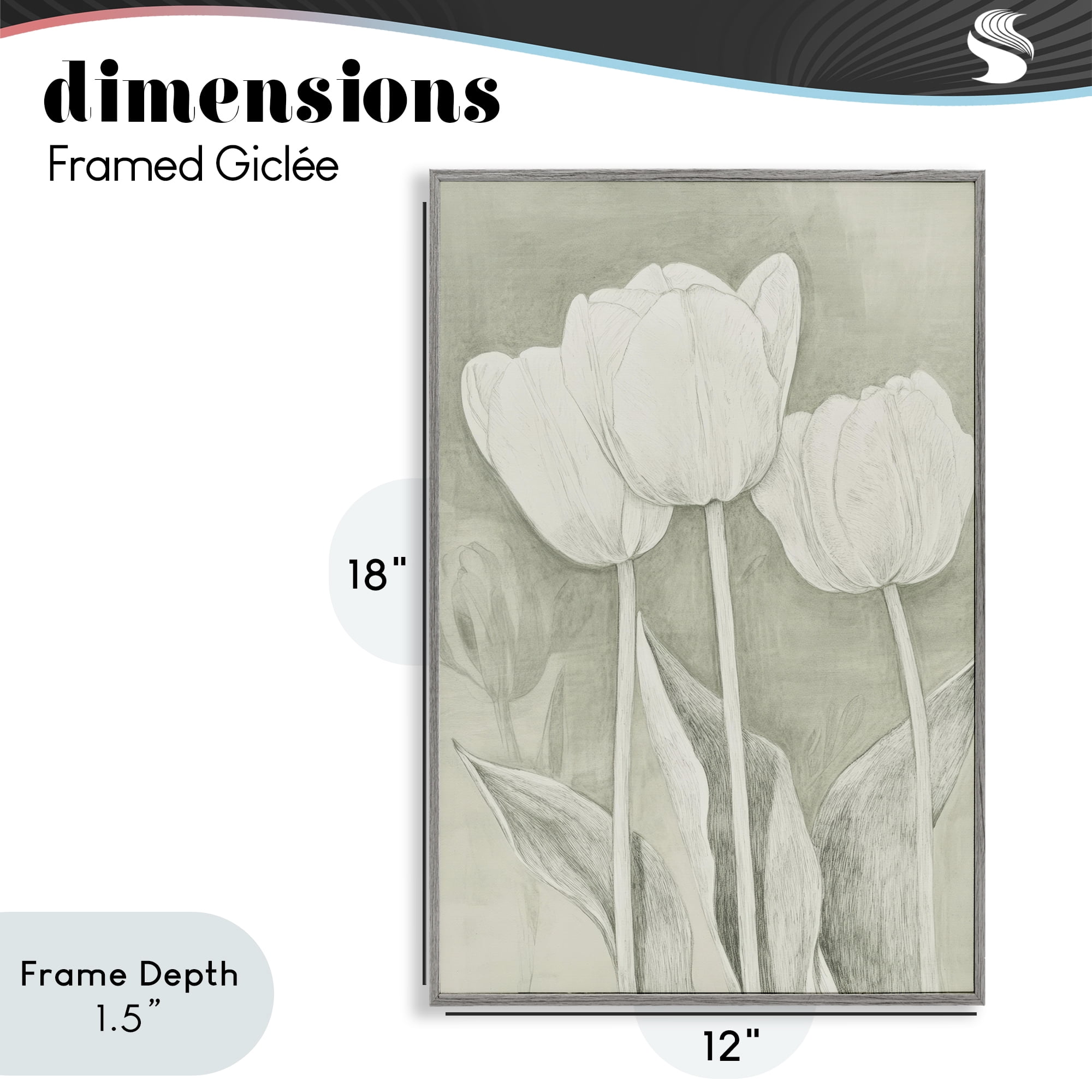 Stupell Industries Faded Tulips Pencil Sketch Gray Framed Giclee Art, design by Petal Prints Design