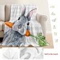 thumbnail image 5 of Grey Bunny Easter Blanket Soft Cozy Warm Throw Blanket for Couch, Plush Fuzzy Flannel Fleece Blankets for Sofa, Rabbits Grey Checkered Carrots Bed Blankets Lightweight Gifts for Women, 30"x40", 5 of 9