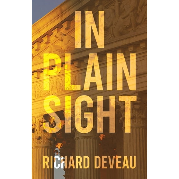 In Plain Sight, (Paperback)