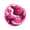 A007- Hot Pink, variant on Pet Snuffle Ball for Dogs - Interactive Foraging Toy with Soft Fabric Layers, Ginger Color, 6 Inch Diameter - Mental Stimulation Puzzle Toy for Puppies, Small Medium Large Dogs, Indoor Outdoor Use
