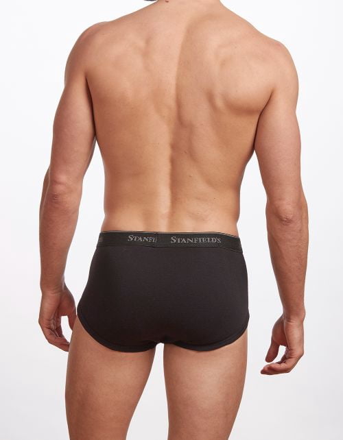 Stanfield's Men's 3 Pack Premium Cotton Regular Rise Briefs Underwear