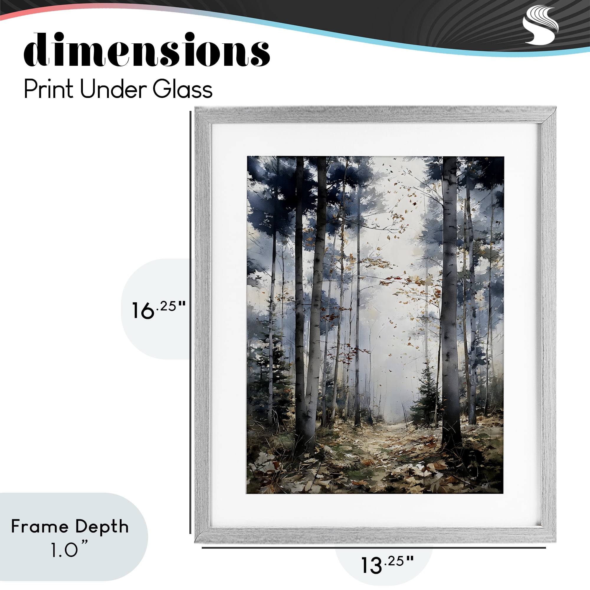 Stupell Industries Cold Woods Birch Forest Gray Framed Print Under Glass, design by Franklyn Gregory