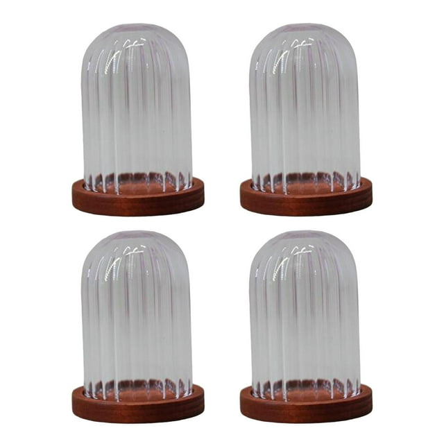 Clear Glass Cloche Dome Flowers Cover Jar Mini DIY Transparent Doll House Decoration Cloche