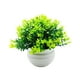 thumbnail image 4 of Adorno en maceta de flores falsas, decoración de bonsái Artificial, forma semiesférica pequeña, plantas falsas, bonsái de imitación para interior y Verde, 4 of 9