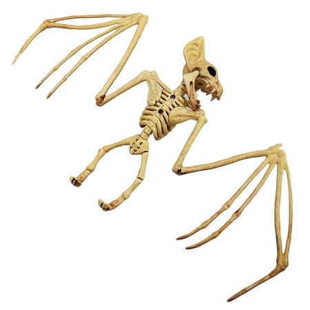 Halloween Animal Skeleton Bones Horror Simulation Skeleton Halloween Party  Decoration Animal Skeleton Bones Animal Skeleton Bones For Halloween  Halloween Animal Skeleton Bones | Walmart Canada