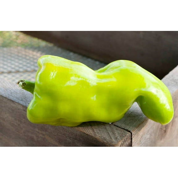 Hungarian Wax Heirloom Pepper Premium Seeds Packet