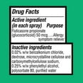 thumbnail image 2 of Equate Non-Drowsy Allergy Relief Spray Fluticasone Propionate (Glucocorticoid), 50 mcg per Spray, 144 Sprays, Compare to Flonase® Active Ingredient, 2 of 3