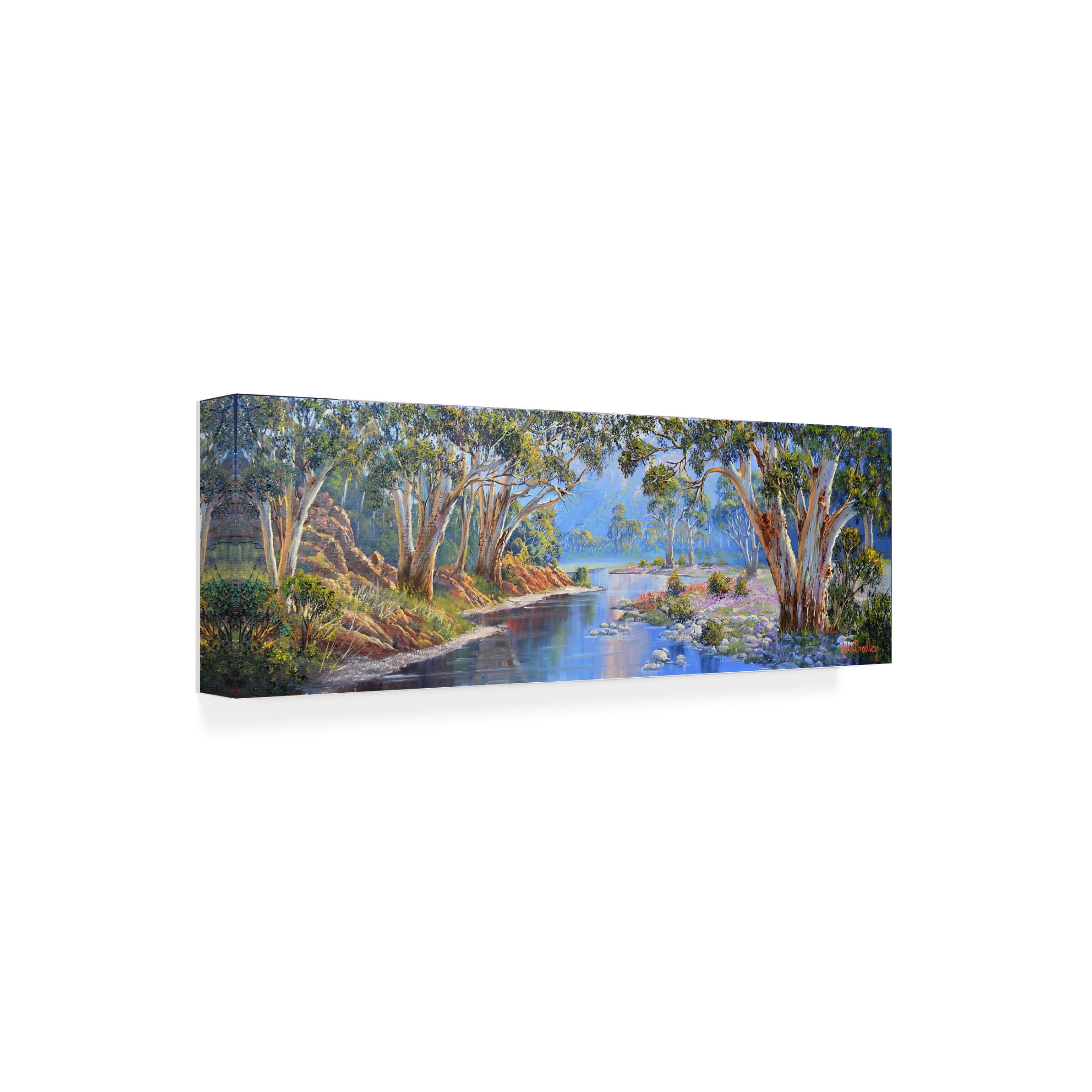 Canvas Wall Art - John Bradley 'Colours of the Flinders - Brachina Gorge' Wall Art for Living Room, Bedroom, or Office Décor by Trademark Fine Art - 19 x 6 Inches