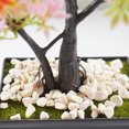 thumbnail image 5 of Guijarros naturales para jardín, flores, bonsái, piedra, maceta pequeña, planta suculenta, pecera, piedras, grava para exteriores, jarrón suculento decorativo, 5 of 5