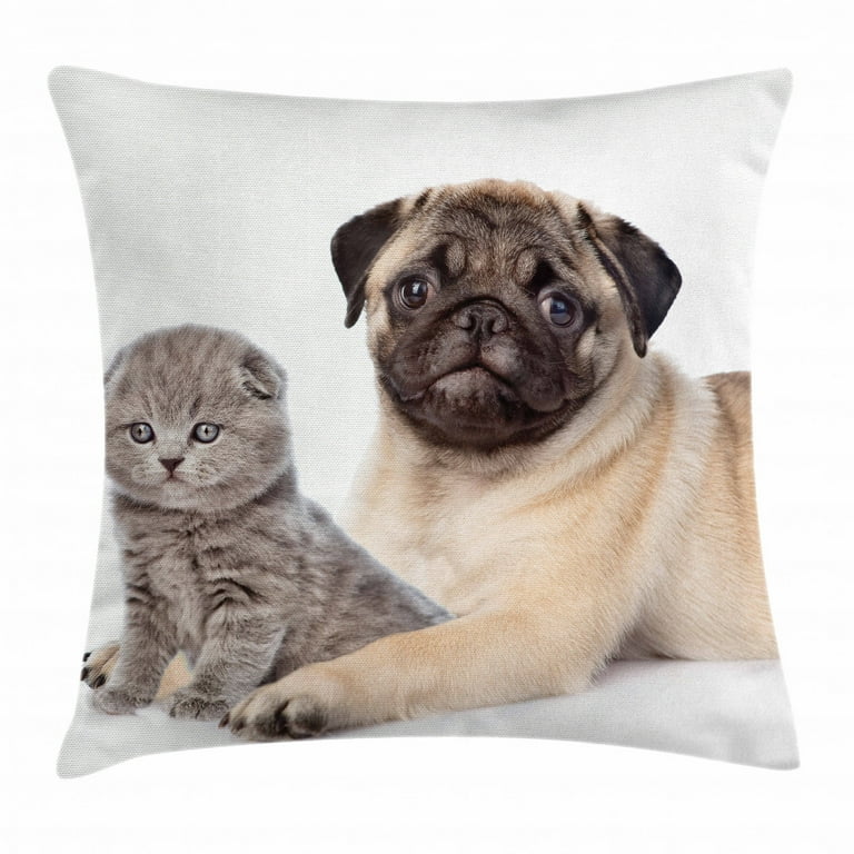 Pug Throw Pillow Cushion Cover Cute Young Pets Kitten and Puppy Pug Scottish Fold Animal Fun Photography Print Decorative Square Accent Pillow Case 20 X 20 Inches Pale Brown Beige by Ambesonne