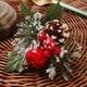 thumbnail image 4 of 2X Mantel Anillo Servilletero Navidad Mesa Decoración Navidad An Fruta Servilleta Hebilla(), 4 of 5
