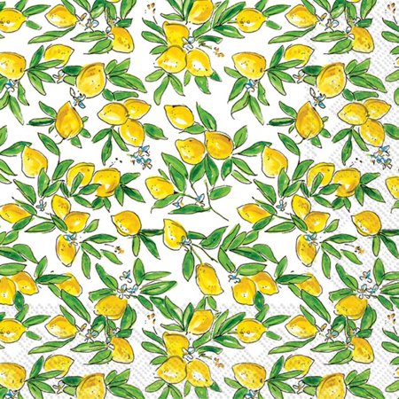Lemon Grove Disposable Cocktail Napkins - 3-Ply Paper Party Napkin Pack, 5" x 5", 20-Count for Vibrant Celebrations and Refreshing Gatherings