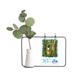 thumbnail image 1 of Miaoji pintura Cat bosques de setas Jarrones colgantes de vidrio transparente Decoración Botella, 1 of 4
