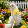 thumbnail image 3 of Adjustable Cat Harness and Leash No Pull Escape Proof Vest for Walking and Training, 3 of 3