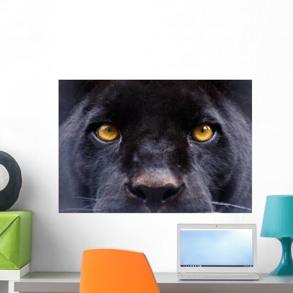 Eyes Black Panther Wall Mural by Wallmonkeys Peel and Stick Graphic (24 in W x 17 in H) WM293968