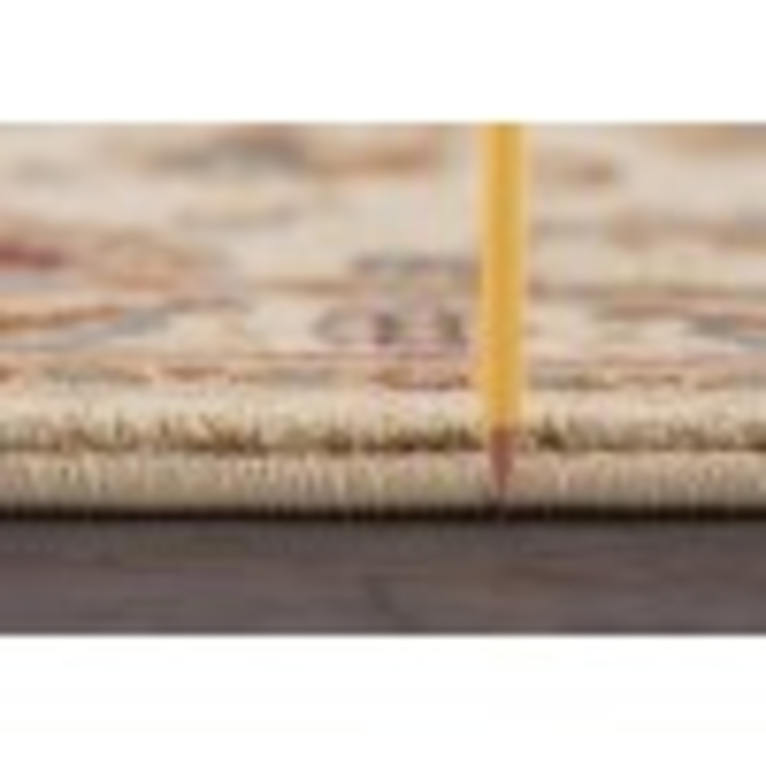 Traditional Area Rug (5'3'' x 7'3'' Oval) Border Ivory, Gold Living Room Easy to Clean