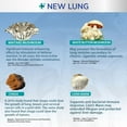 thumbnail image 5 of New Lung® Mushroom Immune Aid and Lung Health Immunity - Immune System and Lung Function with Medicinal Mushrooms - Reishi, Cordyceps, Chaga, and More - Natural Respiratory Health - 60 Servings, 5 of 5