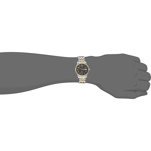 Timex Charles Street T26481 - Reloj para hombre con banda de expansión en dos tonos Timex Timex