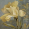 thumbnail image 2 of Loreth, Lanie 26x26 White Modern Wood Framed Museum Art Print Titled - Radiant Square II, 2 of 4