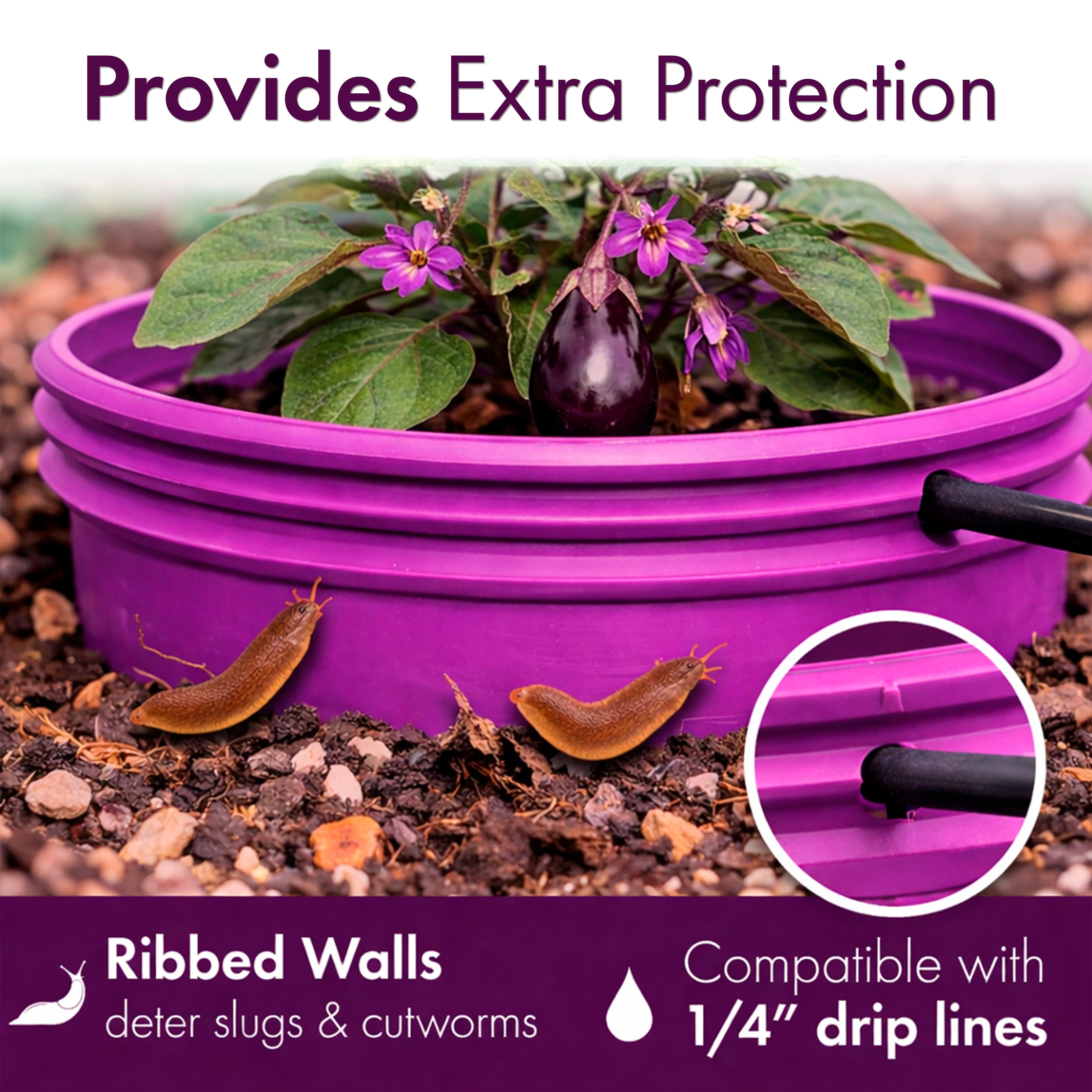 Rooted Promise 7 inch Solid Planting Grow Rings, Perfect for Deep Watering Veggies Herbs and Flowers, Protection and Edging of Garden Plants, Purple, Made in The USA - Pack of 24