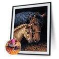 thumbnail image 1 of Cuadros Decorativos 5D bricolaje completo taladro diamante pintura caballo bordado mosaico Craft Kit (w573) Likrtyny  embutido en tela, 1 of 8
