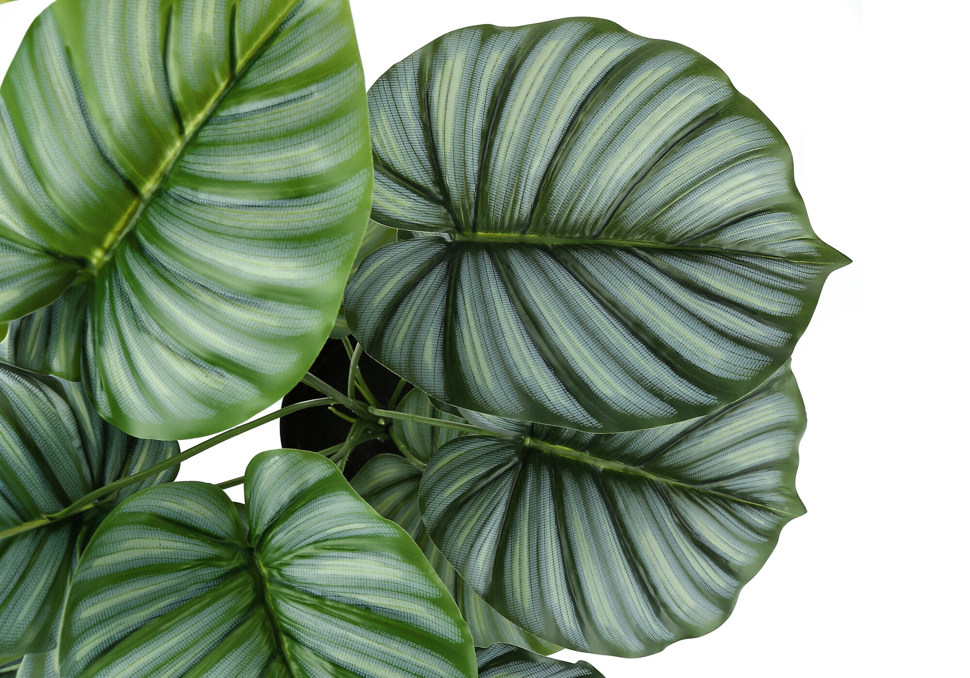 Artificial Plants Artificial Plant, 24" Tall, Calathea, Indoor, Faux, Fake, Table, Greenery, Potted, Real Touch, Decorative, Green Leaves, Black Pot,Flower Arrangements