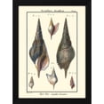thumbnail image 2 of Denis Diderot 11x14 Black Modern Wood Framed Wall Art Titled - Sea Shells III, 2 of 6