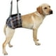 thumbnail image 2 of Cinturón auxiliar para perros, arnés de elevación para perros, eslinga de asistencia profesional para perros, eslinga de soporte para elevación de perros, tecnología avanzada, 2 of 8