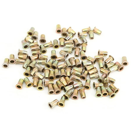 

2024 Big sale 100Pcs Rivet Nut Color Zinc Plated Flat Head Threaded Nutsert Kit Hardware AccessoriesM5